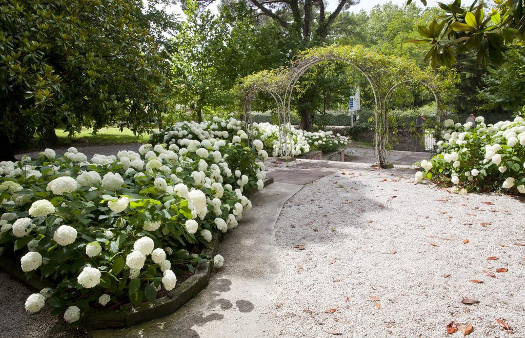 Posada Rolisas Polanco Ngoại thất bức ảnh